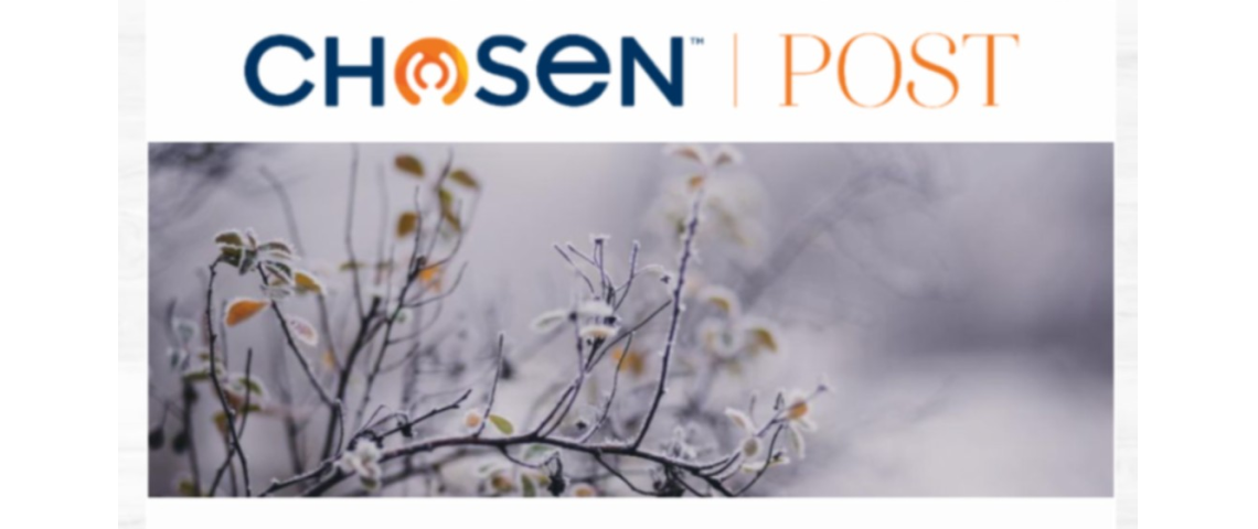 Chosen - Adoption | Foster & Orphan Care Outreach | Mentoring
